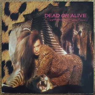 Dead or Alive Sophisticated Boom Boom UK first press lp vinyl