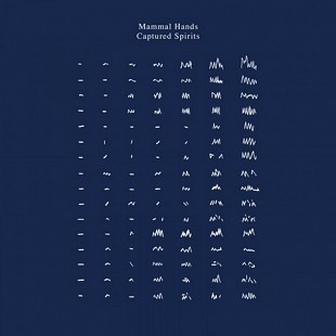 Mammal Hands — Captured Spirits (2LP, 2020)