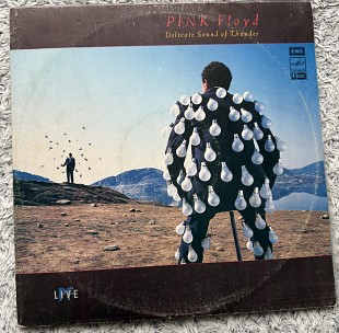Pink Floyd — Delicate Sound of Thunder (2LP, Мелодія, СРСР, 1990)