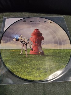RUSH SIGNALS 40TH ANNIVERSARY