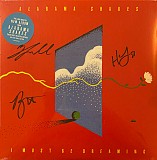 Alabama Shakes – I Must Be Dreaming