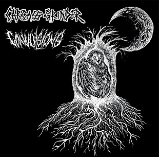 Carcass Grinder / Convulsions - Split (CD, 2026)