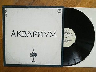 Аквариум (3)-NM-, Мелодія