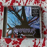 Ceremonium - Into The Autumn Shade - CD