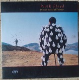 Pink Floyd ‎– Delicate Sound Of Thunder