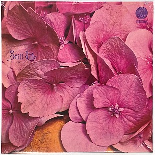Still Life - Still Life (1971/2021) Prog Rock, Vertigo