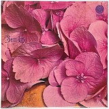 Still Life - Still Life (1971/2021) Prog Rock, Vertigo
