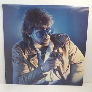 Peter Maffay – Sonne In Der Nacht LP 12" (Прайс 44034)