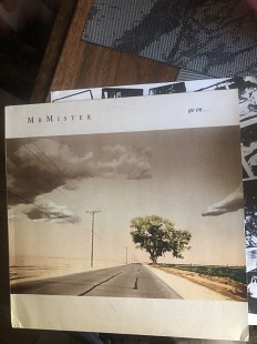 Mr.Mister- go on- vg+/vg+