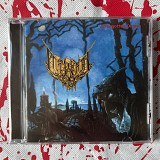 Internal Decay - A Forgotten Dream - CD