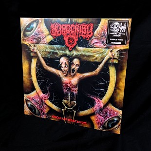Hypocrisy – Osculum Obscenum (purple)