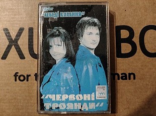Лебеді Кохання - Червоні троянди