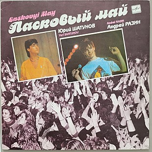 Ласковый май - Белые розы