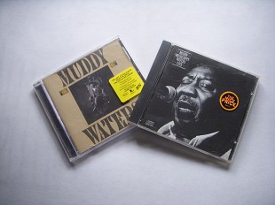Muddy Waters