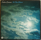 Peter Green EX Fleetwood Mac (In The Skies) 1979. (LP). 12. Vinyl. Пластинка. France.