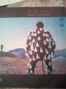 PINK FLOYD - Delicate Sound of Thunder (2LP)