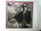 Graham Parker 76 USA Vinyl NM-
