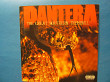 Pantera американский грув-металл лейба - Никитин