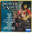 Power Of Soul - A Tribute To Jimi Hendrix