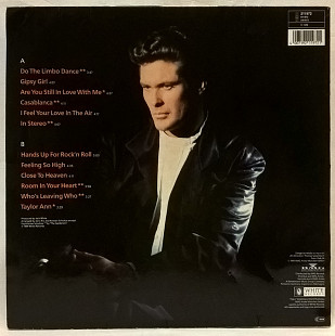 David Hasselhoff ‎ (David) 1991. (LP). 12. Vinyl. Пластинка. Germany.