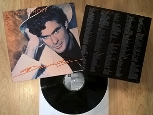 David Hasselhoff ‎ (David) 1991. (LP). 12. Vinyl. Пластинка. Germany.