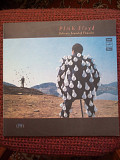 Pink Floyd - Delicate Sound of Thunder, 2LP