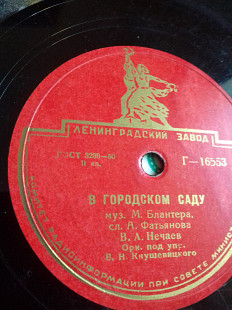 В.А.Нечаев .в городском саду б.78 об.шеллак