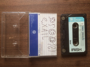 Аудиокассета Irish C90 с записью (Tom Jones (1977) / Tom Jones (1965-69))