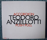 Teodoro Anzellotti "Push Pull"