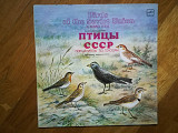Птицы СССР-Определитель по голосам (воробьиные)-NM-Мелодия